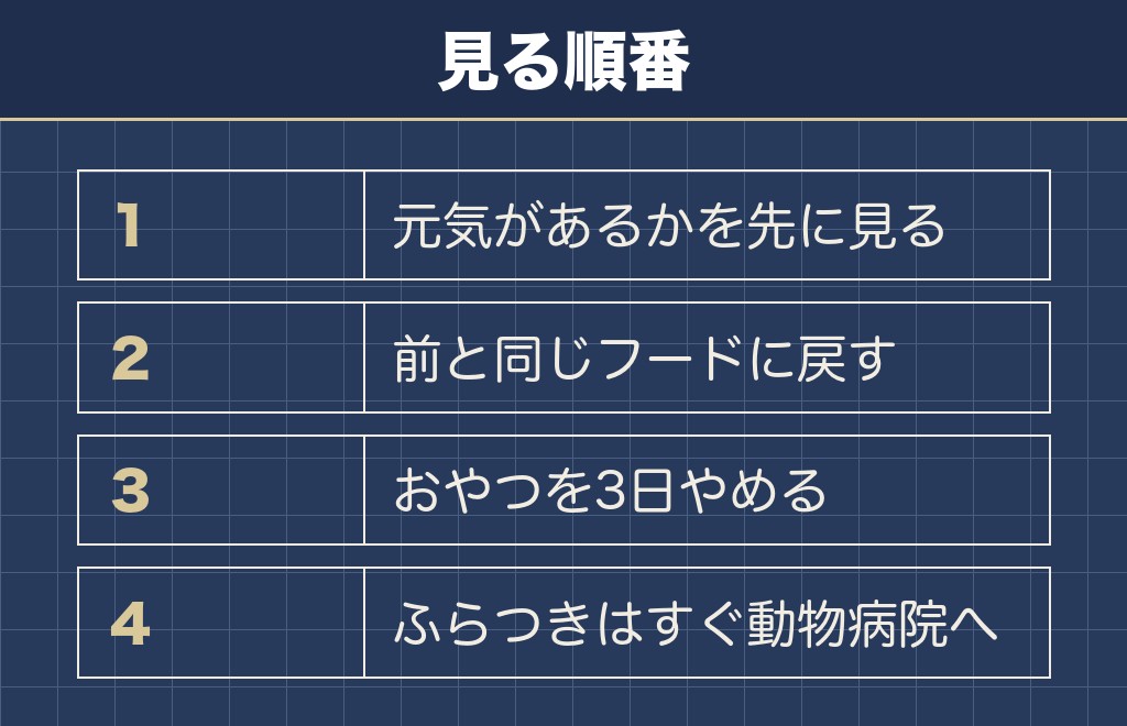 トイプードルの3ヶ月がご飯を食べないときに見る順番