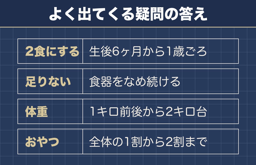 トイプードルの3ヶ月のご飯に関するQ&A