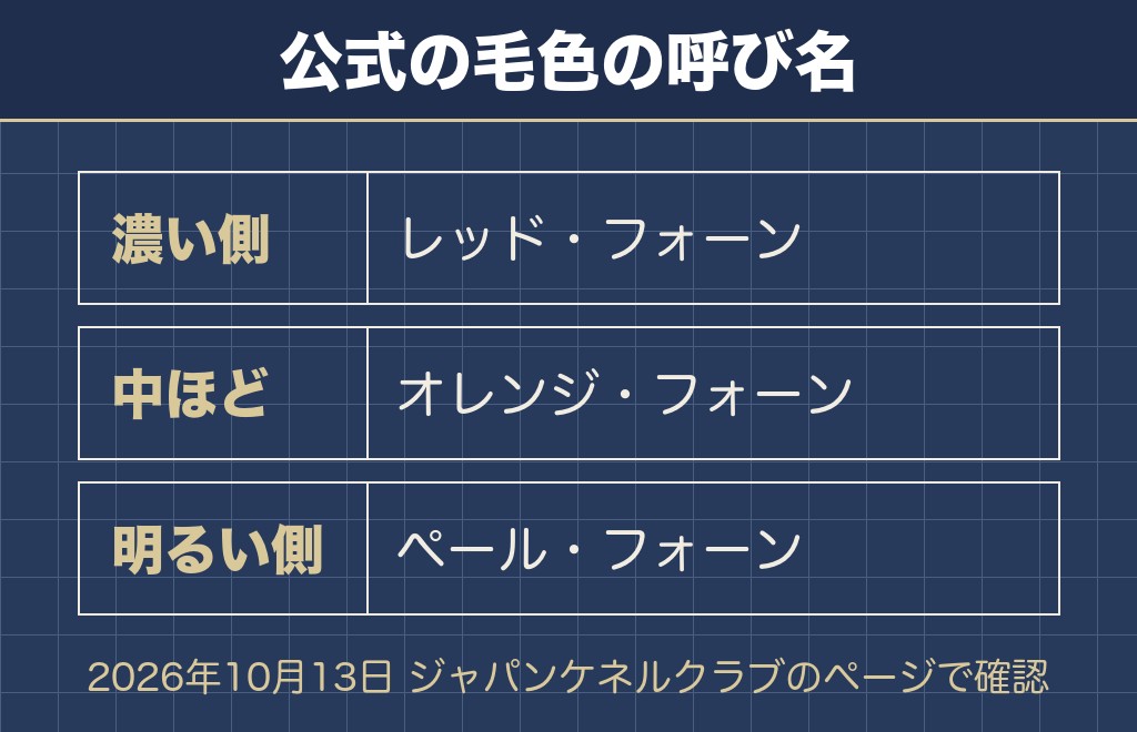トイプードルのアプリコットの退色は画像で見ると色が抜けた印象に変わる