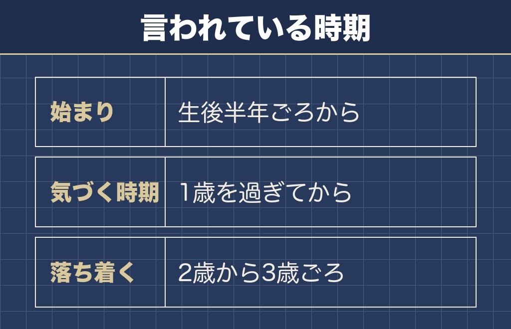 トイプードルの退色がいつから始まるかは生後半年ごろからとされる