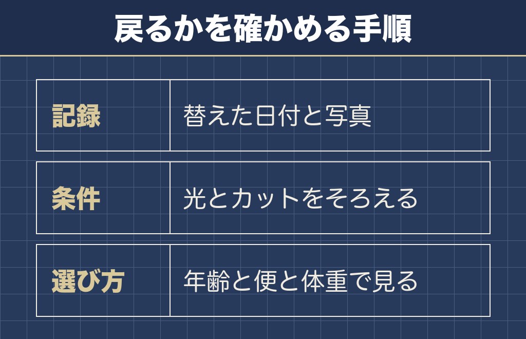 トイプードルの退色した色が戻るかはフードでは言い切れない
