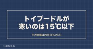 犬が寒いと感じる温度はトイプードルなら何度？冬の室温の目安も
