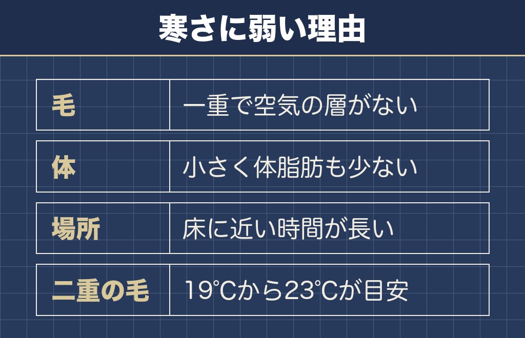 トイプードルが寒さに弱いのは毛が一重だから