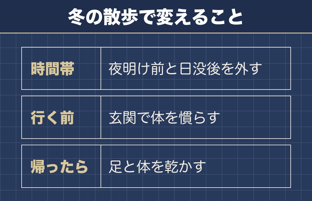 トイプードルの冬の散歩は時間帯で決める