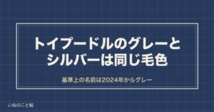 トイプードルのグレーとシルバーの違いは？色の変化や値段も