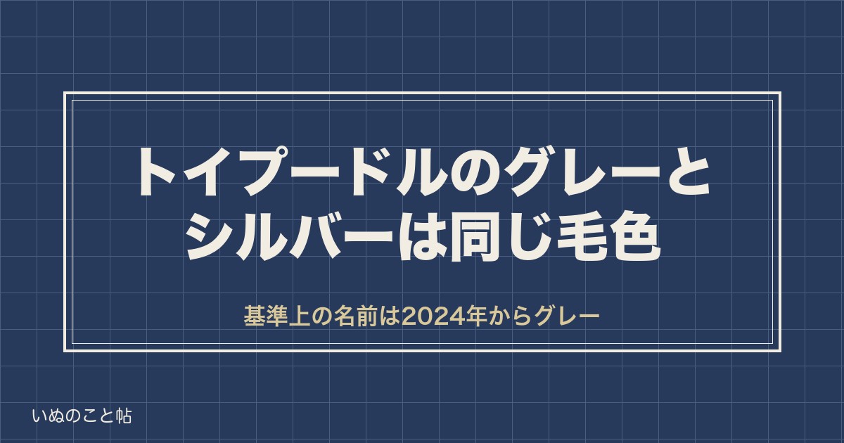 トイプードルのグレーとシルバーの違いは？色の変化や値段も