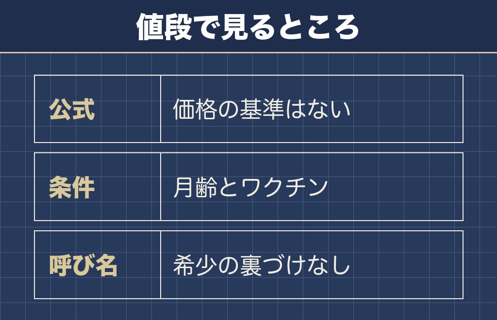 グレーとシルバーのトイプードルの値段で見るところ