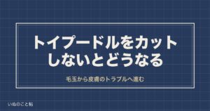 トイプードルはカットしないとどうなる？トリミング値段の目安も