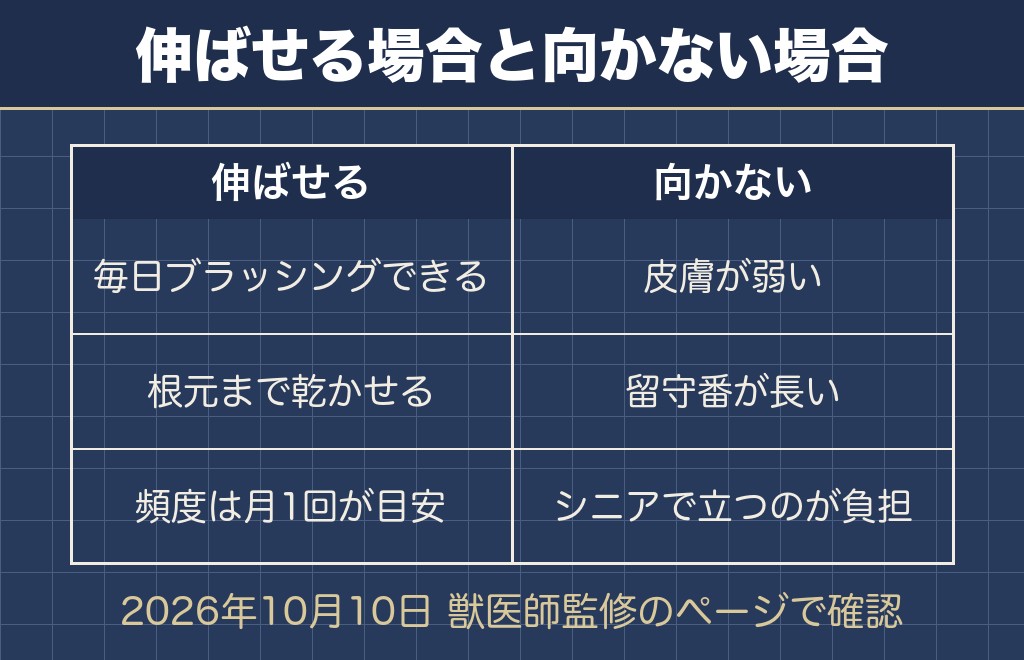 トイプードルの毛を伸ばしっぱなしにできる条件
