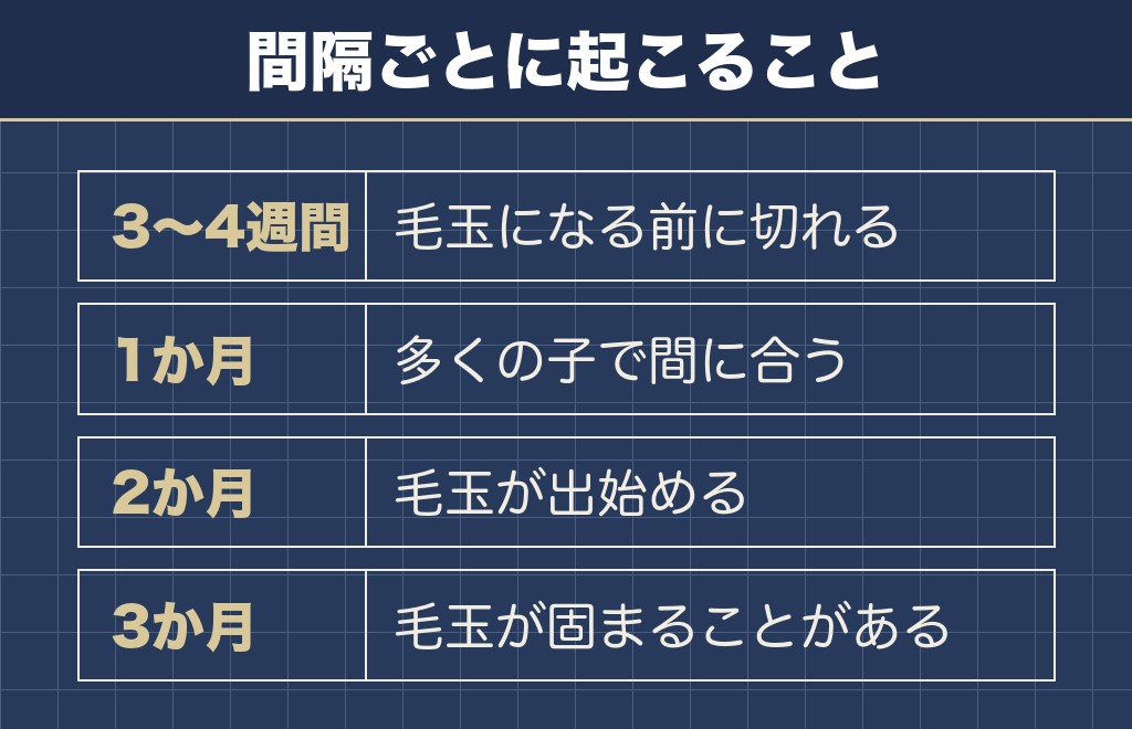 トイプードルのカット頻度は月1回から2か月以内が目安