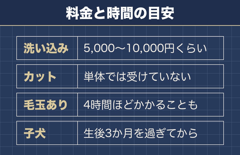トイプードルのカット値段はシャンプー込みで5,000円から