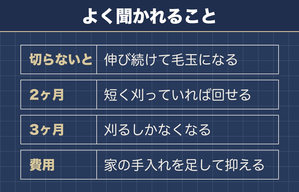 トイプードルのカットに関するQ&A
