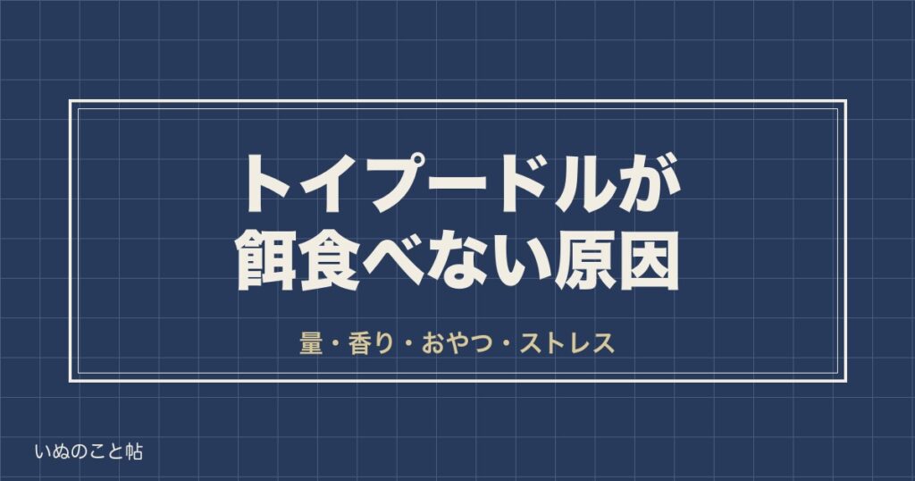 トイプードルが餌食べない原因は量と香り？元気なら何日まで様子見