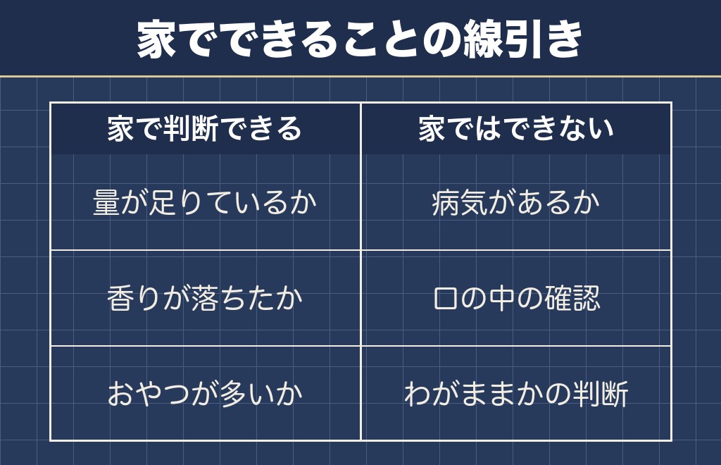 トイプードルが餌食べないときに家で判断できることとできないこと