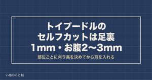 トイプードルのセルフカットはバリカン何ミリ？全身用の選び方も