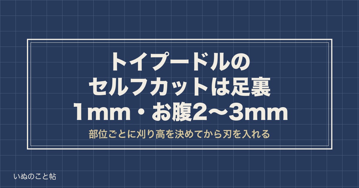 トイプードルのセルフカットはバリカン何ミリ？全身用の選び方も