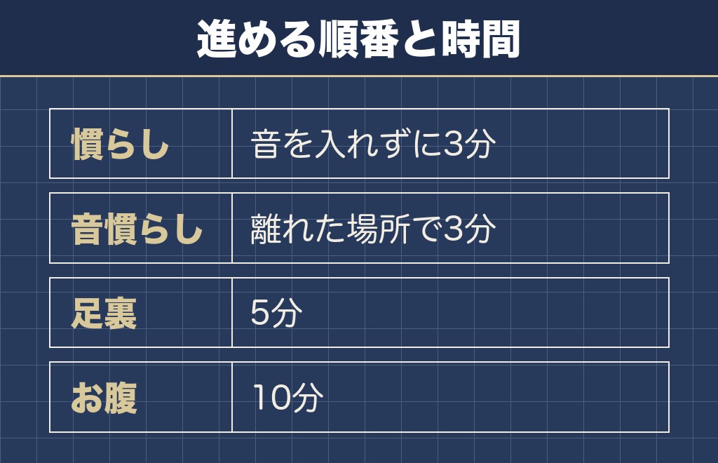 トイプードルにバリカンを当てる手順は慣らしから始める