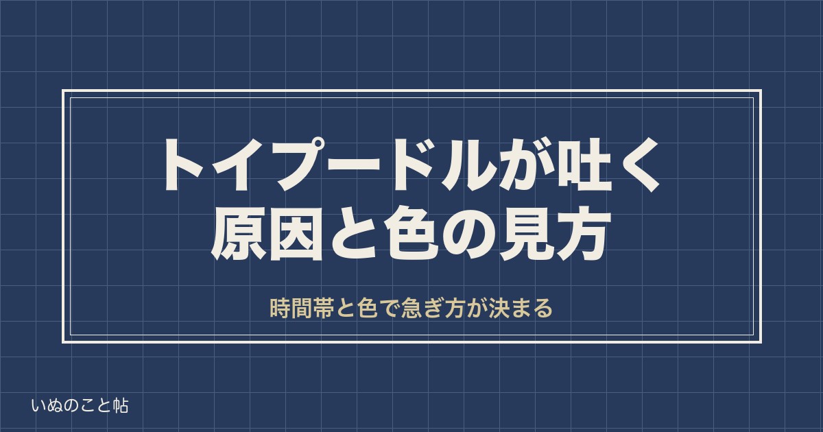トイプードルが吐く原因は？黄色や白い泡など色別の見分け方も