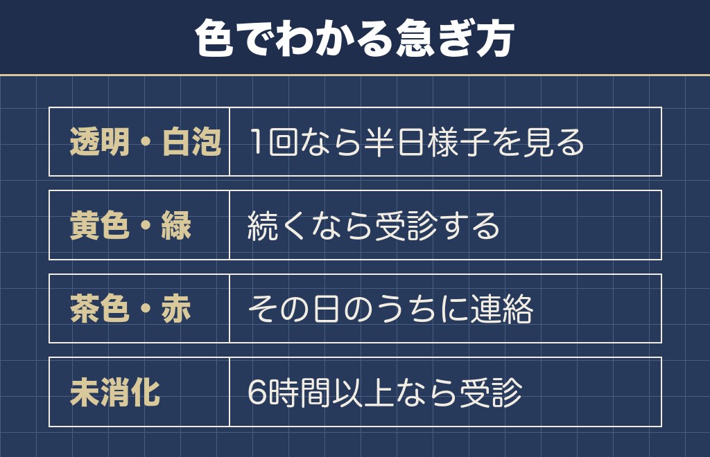 トイプードルが吐いたものの色でわかること