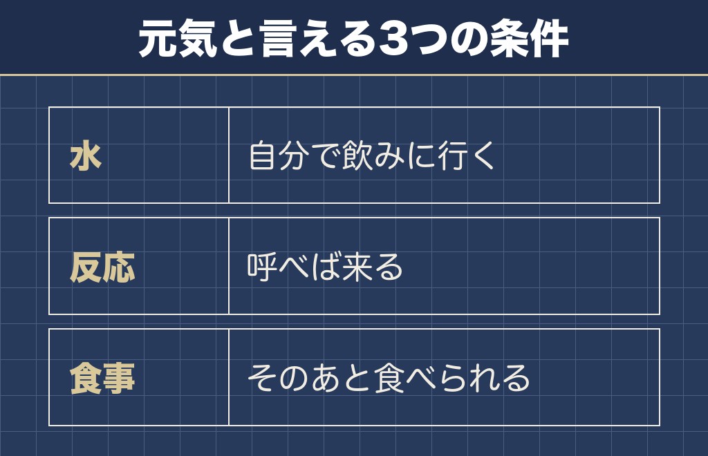トイプードルが吐いたけど元気なときの見方