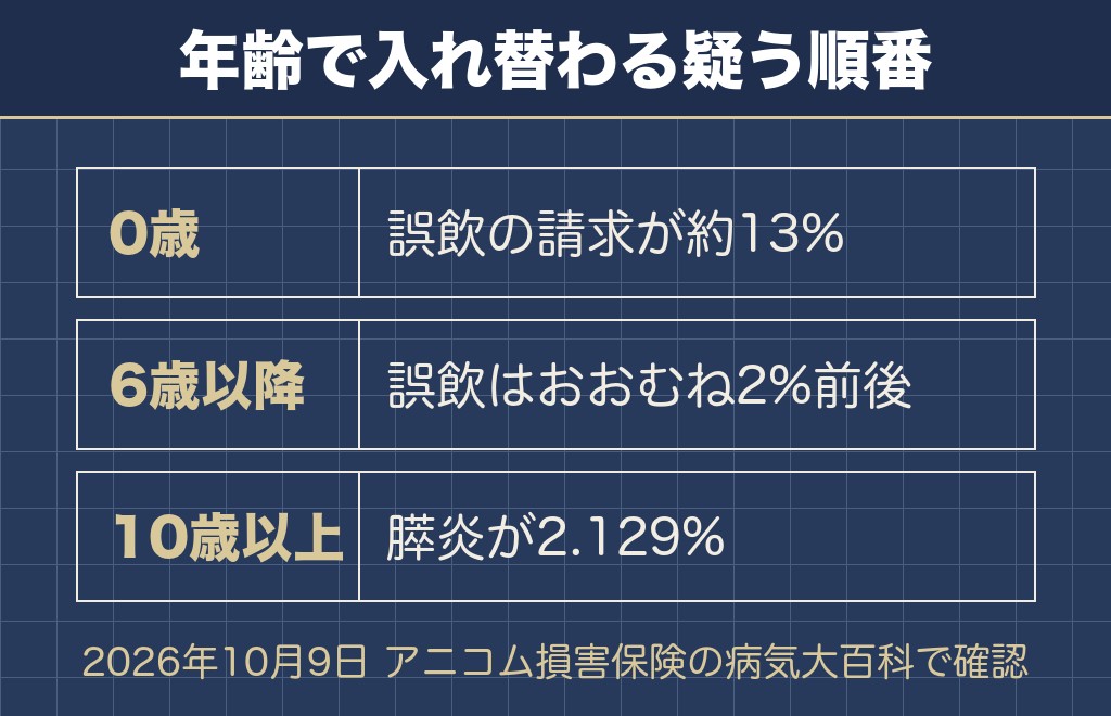 トイプードルは年齢で吐く理由が変わる