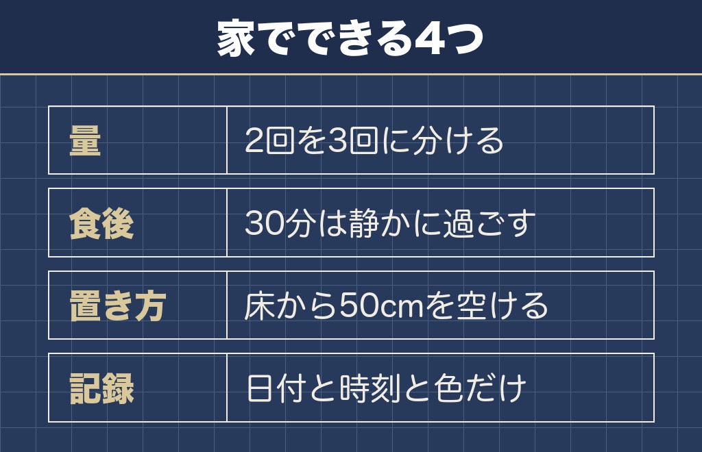トイプードルが吐くのを減らすために家でできること