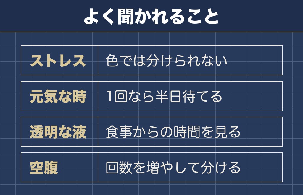 トイプードルが吐くことに関するQ&A